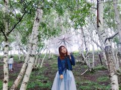 -乌兰布统草原