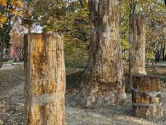 -国家植物园南园