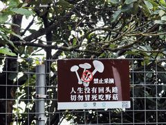 -马峦山郊野公园