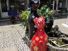 -猫咪博物馆(顶澳仔猫街店)