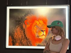 -罗红摄影艺术馆