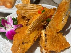 -淘米捞·米汤脆鲩鱼火锅(福田皇岗店)