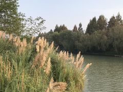 -中国湿地博物馆