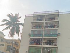 -墨脱石锅椰子鸡•香草鸭•东山羊(大东海店)