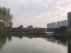 -桐乡植物园