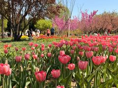 -石家庄市植物园