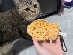 -四川大学(华西校区)