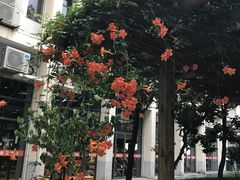 -上海长江软件园