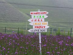 -草原天路(张北县)