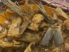 -八仔大富楼·河鲜(西江店)