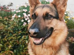 -味福记·本地特色菜(八一万达广场店)