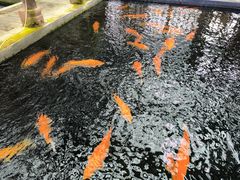 -观唐（国际）度假村温泉