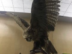 -陕西自然博物馆