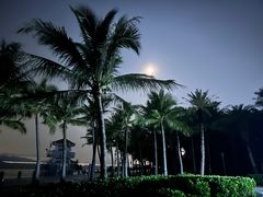 -深圳湾公园(南山区)