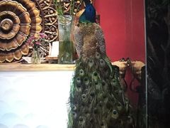 -兰纳泰式spa(古城店)