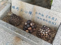-胡里山炮台