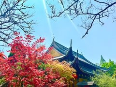 -龙华寺