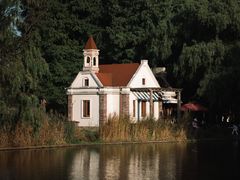 -上海共青森林公园