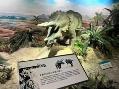 -国家自然博物馆