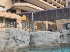 -北京乐多港万豪酒店汤乐宫温泉