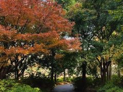-上海滨江森林公园