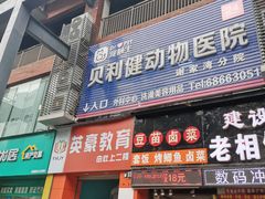 -宠颐生贝利健动物医院(谢家湾分院)