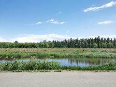 -东郊湿地公园