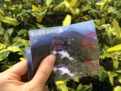 -杭州半山国家森林公园