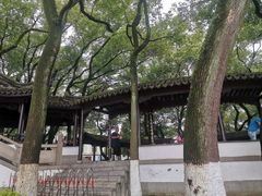 -月湖公园