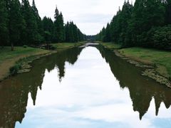 -黄海国家森林公园