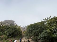 -梧桐山风景名胜区