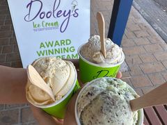 -Dooley's Premium Ice Cream