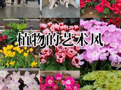 -石家庄市植物园