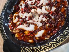 -金三可市井水煮鱼(金碧园店)