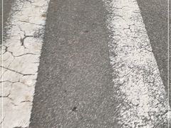 -广东茂名森林公园