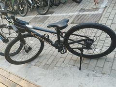 -道路口单车爱瓦士dahon大行