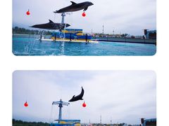 -秦皇岛乐岛海洋王国