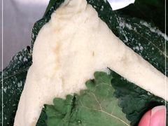 -叶婆婆豆浆馍馍