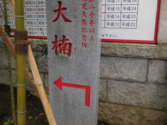 -来宫神社