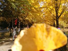 -辽东学院(南校区)