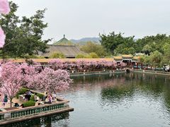 -宝墨园景区