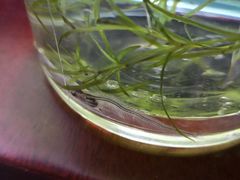 -华声天桥民俗文化园