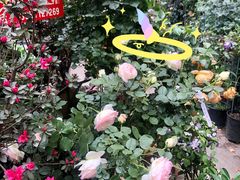 -金科花卉市场