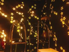 -上海龙之梦万丽酒店