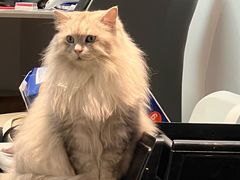 -强记海鲜·大排档(蛇口新街店)