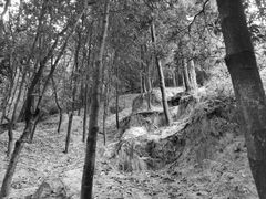 -火炉山森林公园