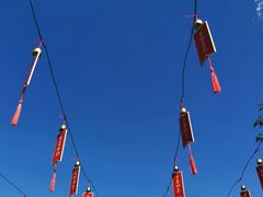 -北京西山国家森林公园