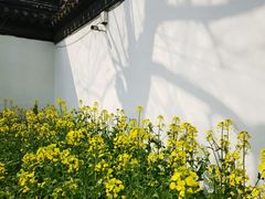 -苏州上方山国家森林公园