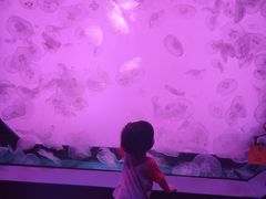 -沈阳海洋探索中心