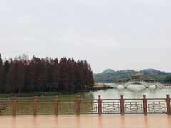 -星湖旅游景区七星岩